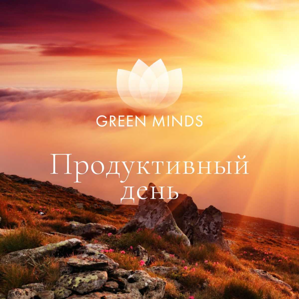 Нейромедитация GREEN MINDS «Продуктивный день» по цене 330 руб. - купить в  Бугульме ☛ Доставка ★ Интернет-магазин «EcoGreenDom»